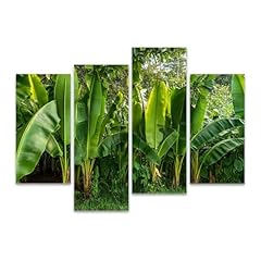 Enset plant canvas for sale  Delivered anywhere in USA 