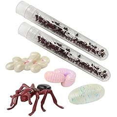 Insect lore two for sale  Delivered anywhere in USA 