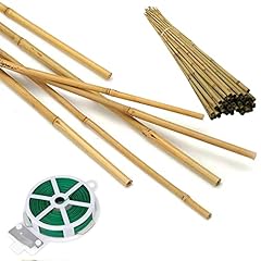 Pack 6ft bamboo for sale  Delivered anywhere in USA 