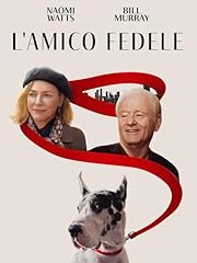 Amico fedele usato  Spedito ovunque in Italia 