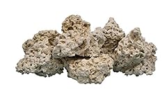 Nature ocean coral for sale  Delivered anywhere in USA 