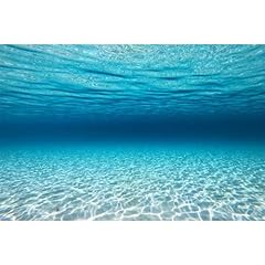Mirrorang 61x30cm unterwasser gebraucht kaufen  Wird an jeden Ort in Deutschland