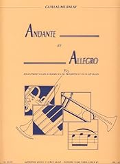 Andante allegro cornet d'occasion  Livré partout en France