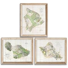 Vintage hawaii survey for sale  Delivered anywhere in USA 