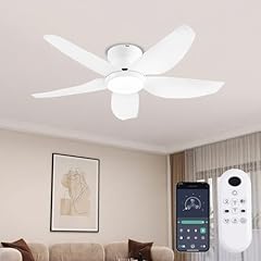 Gjeg ceiling fans for sale  Delivered anywhere in USA 