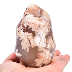 Amoystone cherry blossom for sale  Delivered anywhere in USA 