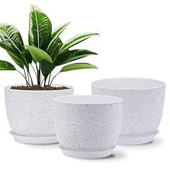 Gardrium lot pots d'occasion  Livré partout en France