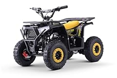 Atv pocket quad gebraucht kaufen  Wird an jeden Ort in Deutschland