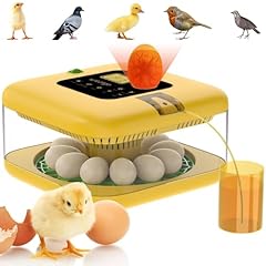Incubators hatching quail for sale  Delivered anywhere in USA 