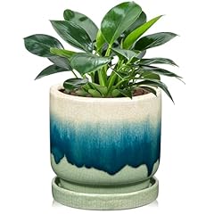 Airse blumentopf keramik gebraucht kaufen  Wird an jeden Ort in Deutschland