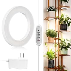 Lordem 6.3 ceiling for sale  Delivered anywhere in USA 