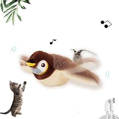 Ruiday flapping bird usato  Spedito ovunque in Italia 