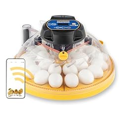 Brinsea maxi connect for sale  Delivered anywhere in UK
