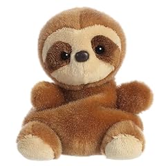 Aurora adorable palm for sale  Delivered anywhere in USA 