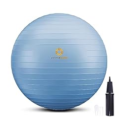 Primasole exercise ball for sale  Delivered anywhere in USA 