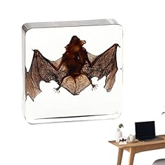 Hujinkan taxidermy bat for sale  Delivered anywhere in UK
