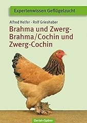 Brahma zwerg brahma gebraucht kaufen  Wird an jeden Ort in Deutschland