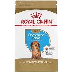 Royal canin dachshund for sale  Delivered anywhere in USA 