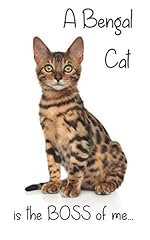 Bengal cat boss for sale  Delivered anywhere in UK