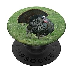 Wild turkey strutting for sale  Delivered anywhere in USA 