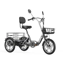 Bicicletta elettrica tre usato  Spedito ovunque in Italia 