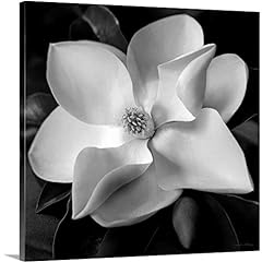 Magnolia canvas wall for sale  Delivered anywhere in USA 