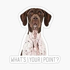 German shorthaired pointer for sale  Delivered anywhere in USA 