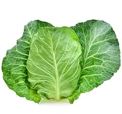 Cabbage plants durham for sale  Delivered anywhere in UK
