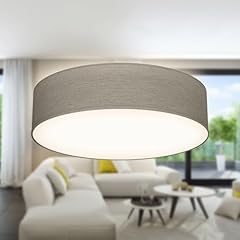 Licht deckenlampe lampenschirm gebraucht kaufen  Wird an jeden Ort in Deutschland