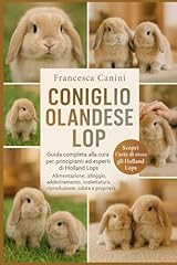 Coniglio olandese lop usato  Spedito ovunque in Italia 