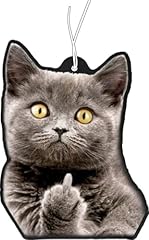 Duftbaum katze zeigt gebraucht kaufen  Wird an jeden Ort in Deutschland