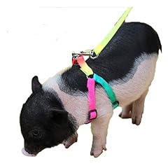 Tianruoxiaoke small pig for sale  Delivered anywhere in USA 