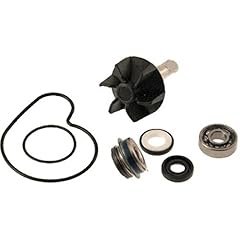 Kit revisione pompa d'occasion  Livré partout en France