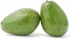 Avocado sourced exotic for sale  Delivered anywhere in UK