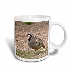 3drose chukar bird for sale  Delivered anywhere in USA 