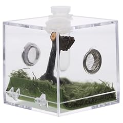 Toddmomy wolf spider for sale  Delivered anywhere in UK