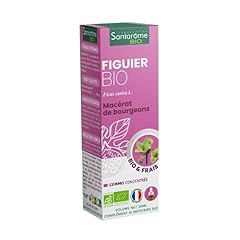 Santarome bio figuier d'occasion  Livré partout en France