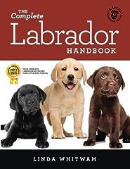 Complete labrador handbook for sale  Delivered anywhere in Ireland