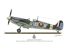 Supermarine spitfire aircraft for sale  Delivered anywhere in UK