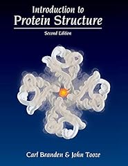 Introduction protein structure gebraucht kaufen  Wird an jeden Ort in Deutschland