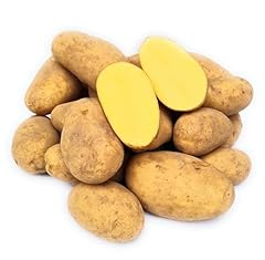 Belana kartoffeln festkochend gebraucht kaufen  Wird an jeden Ort in Deutschland