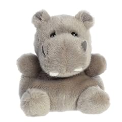 Aurora adorable palm for sale  Delivered anywhere in USA 