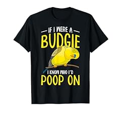Budgie lovers parakeet for sale  Delivered anywhere in UK
