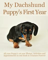 Dachshund puppy first for sale  Delivered anywhere in UK