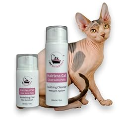 Wrinkles sphynx cat for sale  Delivered anywhere in USA 