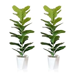 Sajandas set artificial for sale  Delivered anywhere in USA 