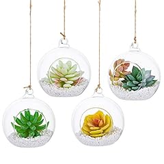 Terrarium verre suspendu d'occasion  Livré partout en France