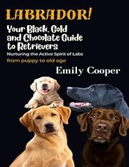 Labrador black gold for sale  Delivered anywhere in USA 