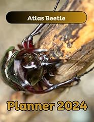 Atlas beetle planner for sale  Delivered anywhere in UK