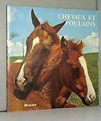 Chevaux poulains d'occasion  Livré partout en France